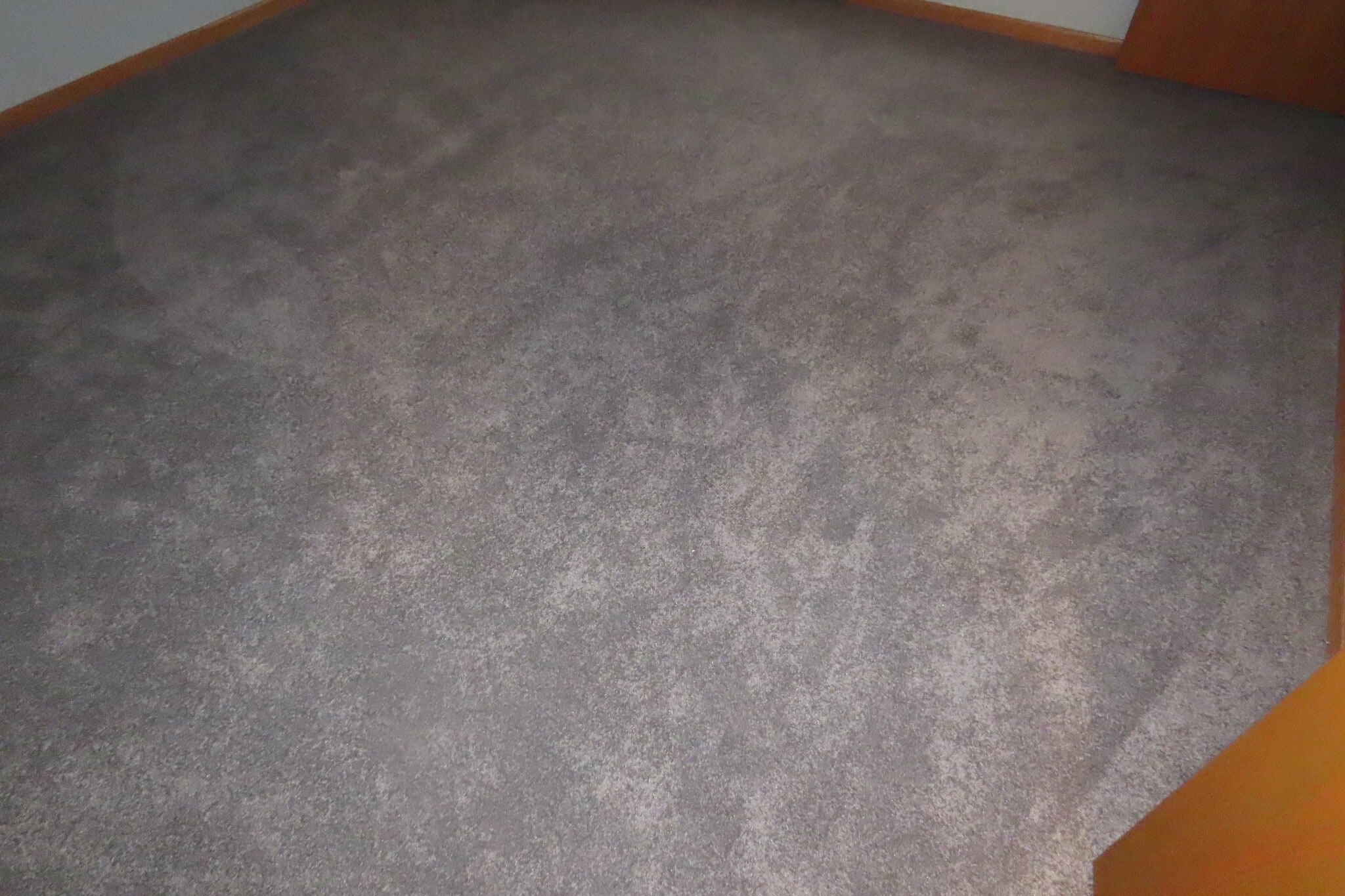 carpeting new with pet liner - 2025 S Main St