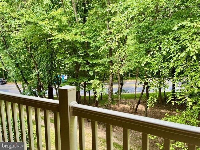 Building Photo - 11703 Olde English Dr