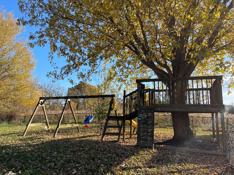 Building Photo - 4309 Williams Rd