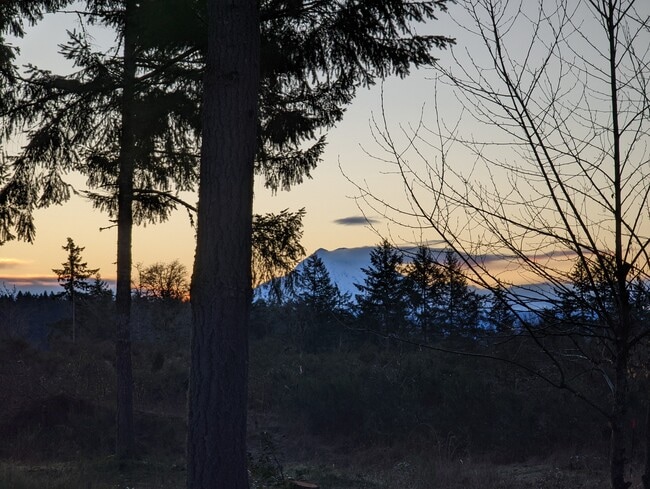 Building Photo - Private 1 bed/1 bath Cabin in gated resort with view of Rainier