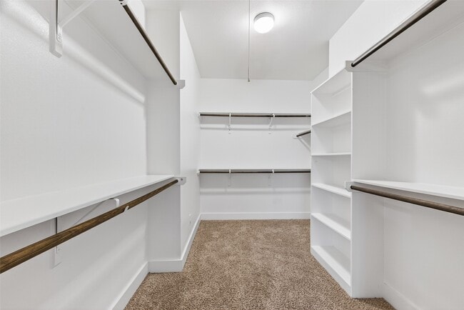 Building Photo - 1202 Cedarpost Tree Springs Pl
