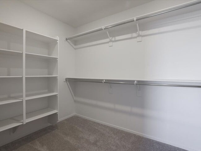 Building Photo - Stunning Brand New 4-Bedroom 2.5-Bathroom with large enclosed backyard!