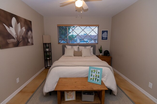 Building Photo - Charming 3BR House in Scottsdale