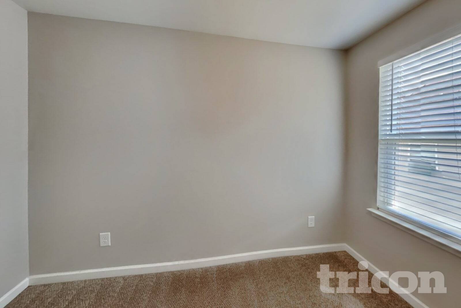 Building Photo - 209 Ashmere Ct