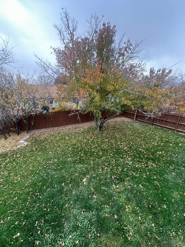 Building Photo - Beautiful 4-Bedroom, 2-Bath Home with Classic Layout and Large Yard