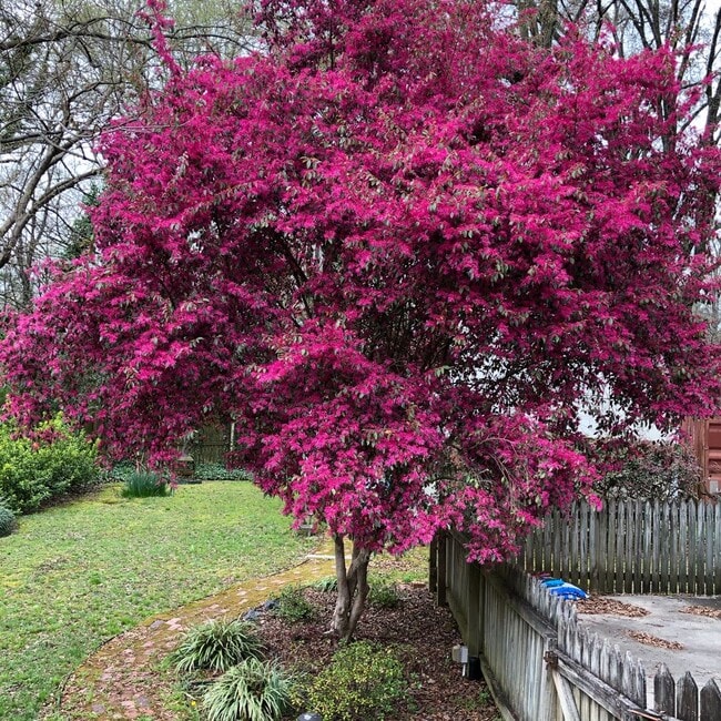 Building Photo - Adorable 2 Bedroom Home in Plaza Midwood!