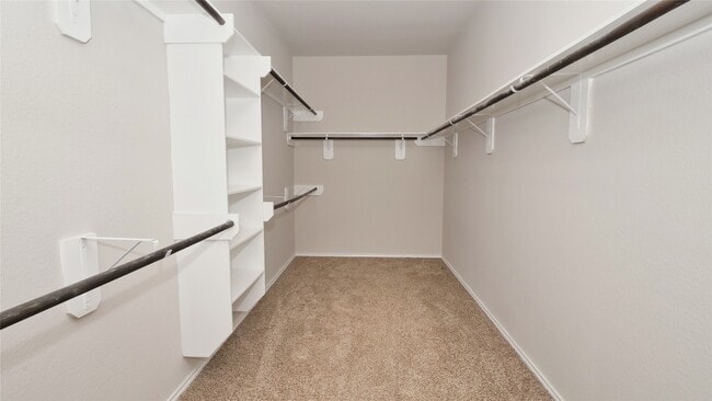 Building Photo - 4427 Aversa Dr