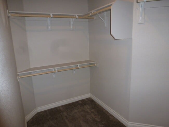 Building Photo - Almost New Four Bedroom, Two Bath Home in ...