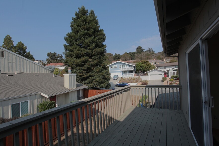 Deck - 1968 Dolphin Dr