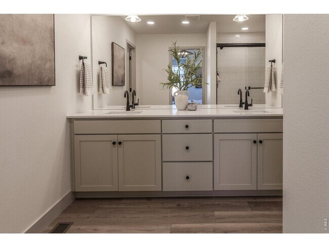 Building Photo - Newly constructed 4 Bed/2.5 Bath Single Family Home at Prairie Song in Windsor
