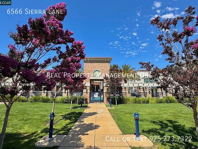 Building Photo - 6566 Sierra Ln