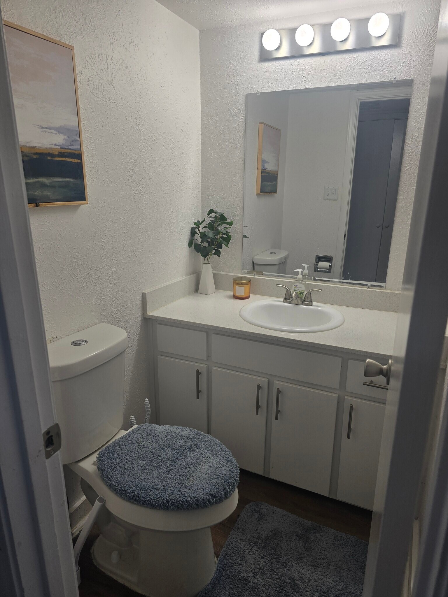 Half Bath - 210 Trellis Pl