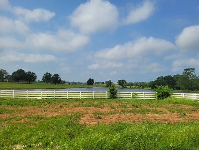 Building Photo - 22882 County Rd 181