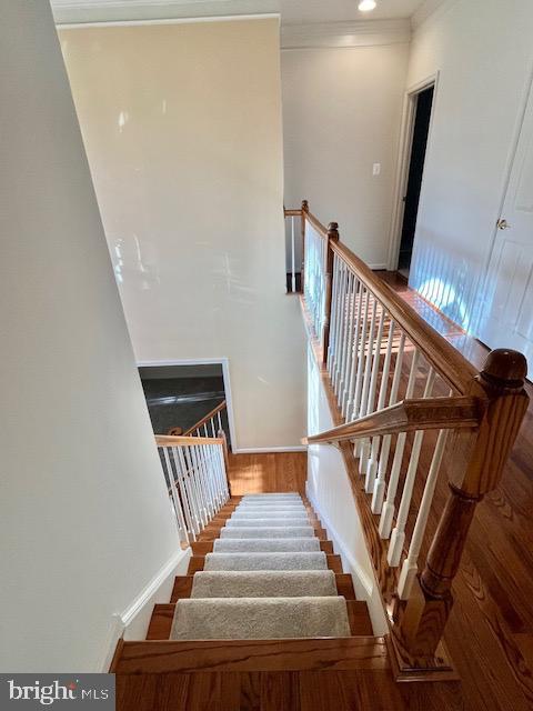 Building Photo - 9308 Rustic Breeze Ct