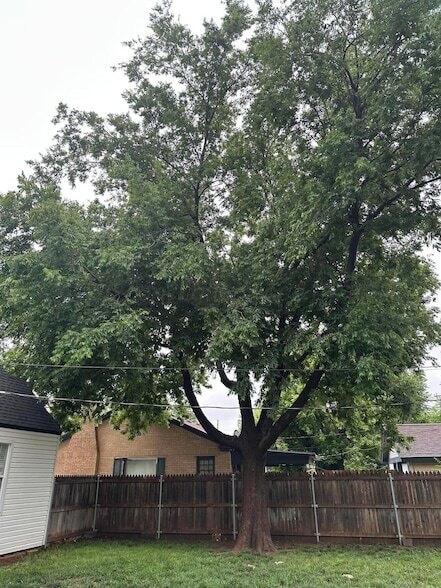 Building Photo - 1118 Bellaire St