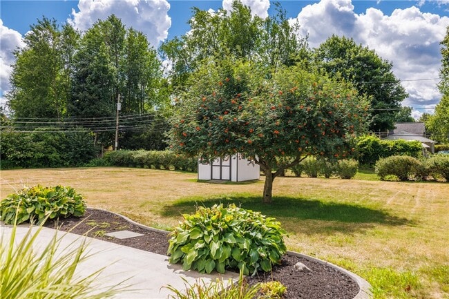Building Photo - 503 Pineview Dr