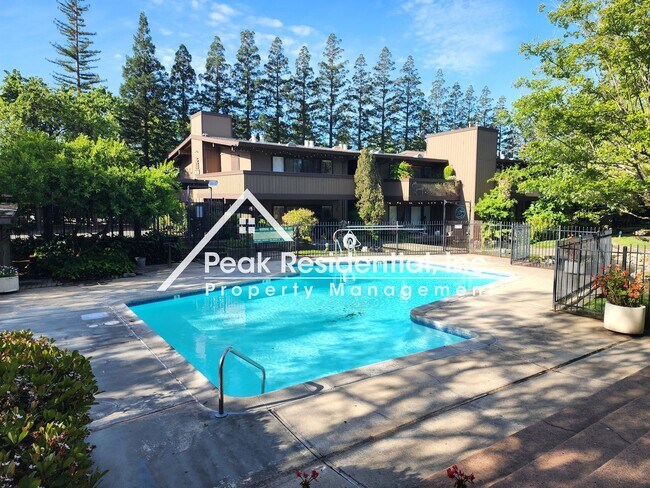 Building Photo - Updated Timberlake 1bd/1ba Condo - Near Sa...