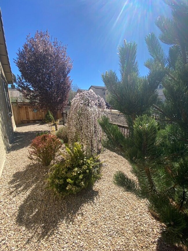 Building Photo - 3935 Hazy Swale Way