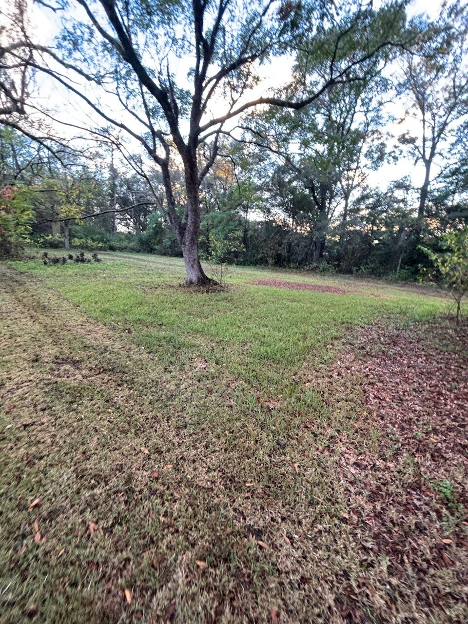 Building Photo - 12500 Holey Rd