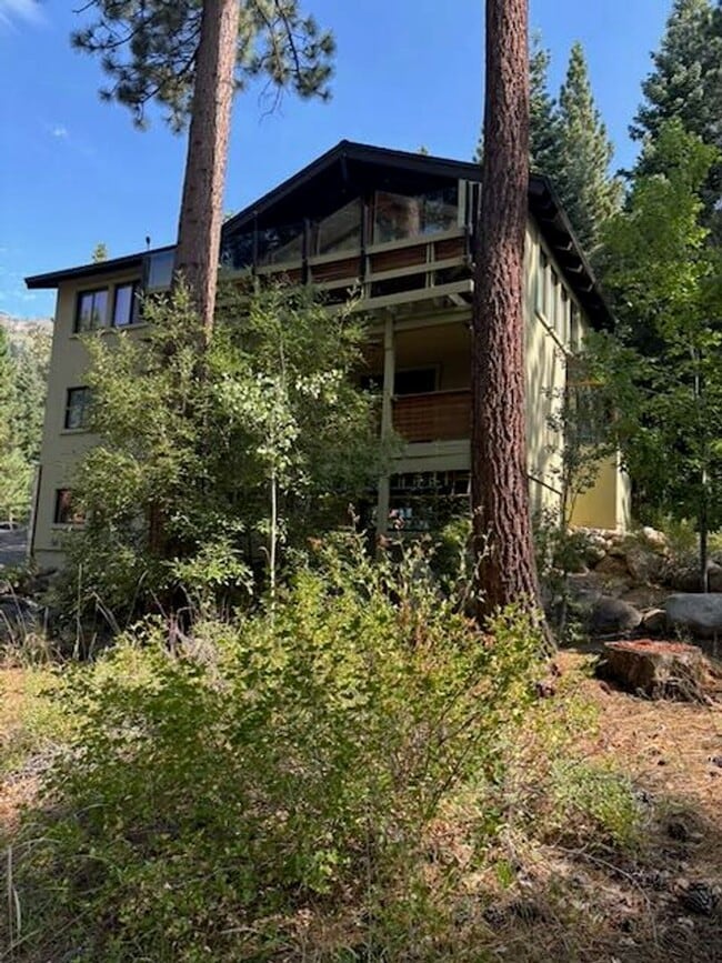 Building Photo - 969 Chipmunk Ct