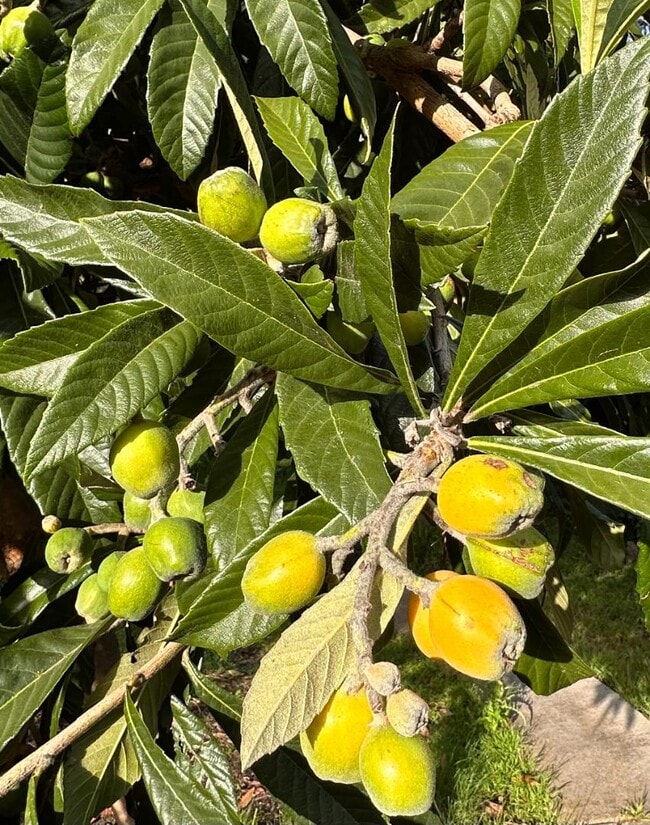 Building Photo - 327 Woodland Park