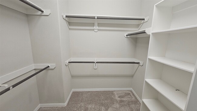 Building Photo - 3529 Brian Valley Ct