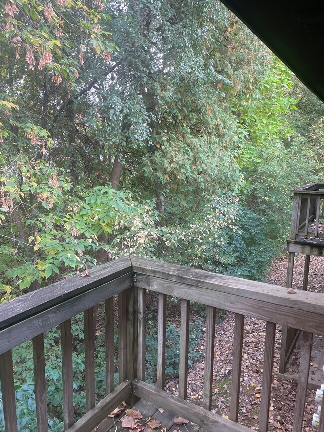 Building Photo - One bedroom apartment with balcony