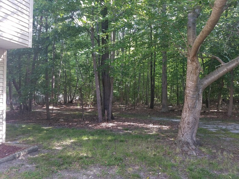 Woods beside the house - 31 Sally Ann Pl