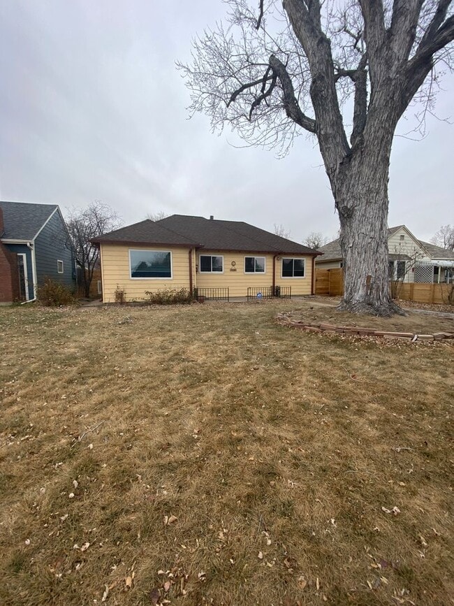 Building Photo - Beautiful 2 bedroom home in Chaffee Park with Huge Studio