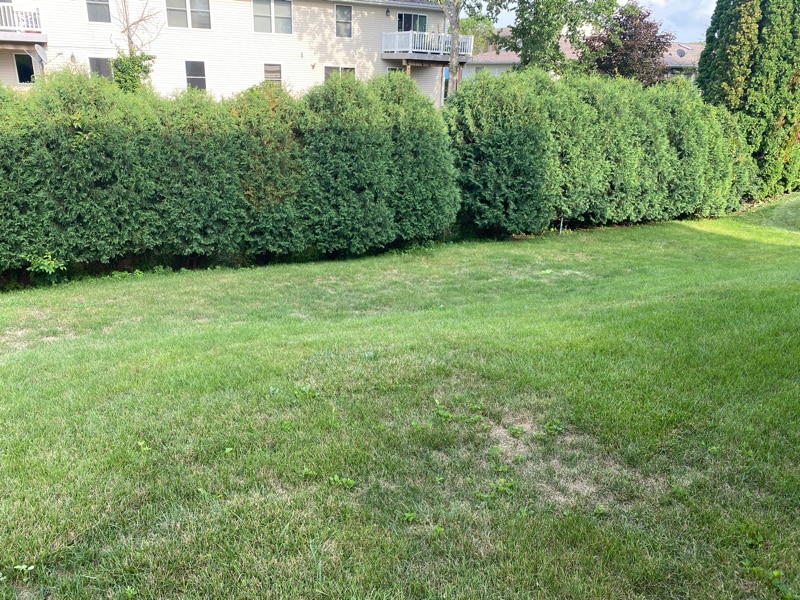 Building Photo - 1542 Lucy Dr