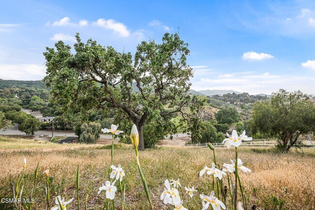 Building Photo - 167 Rimrock Rd