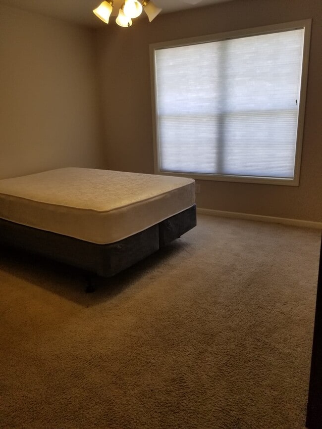 MASTER BEDROOM - 102 Essex Ln