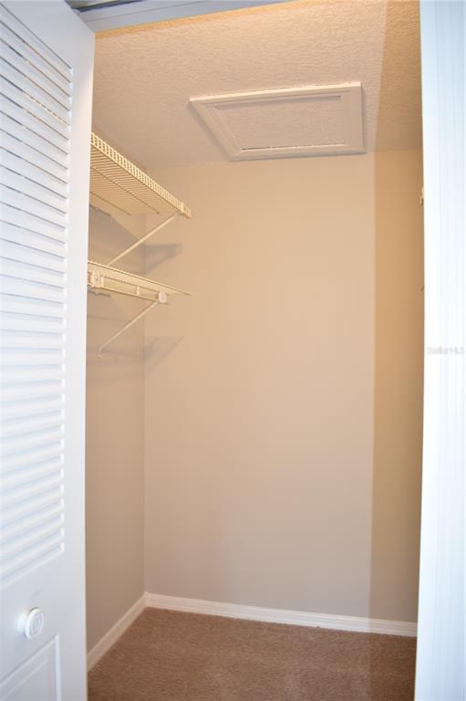 Building Photo - 1702 Aura Ct