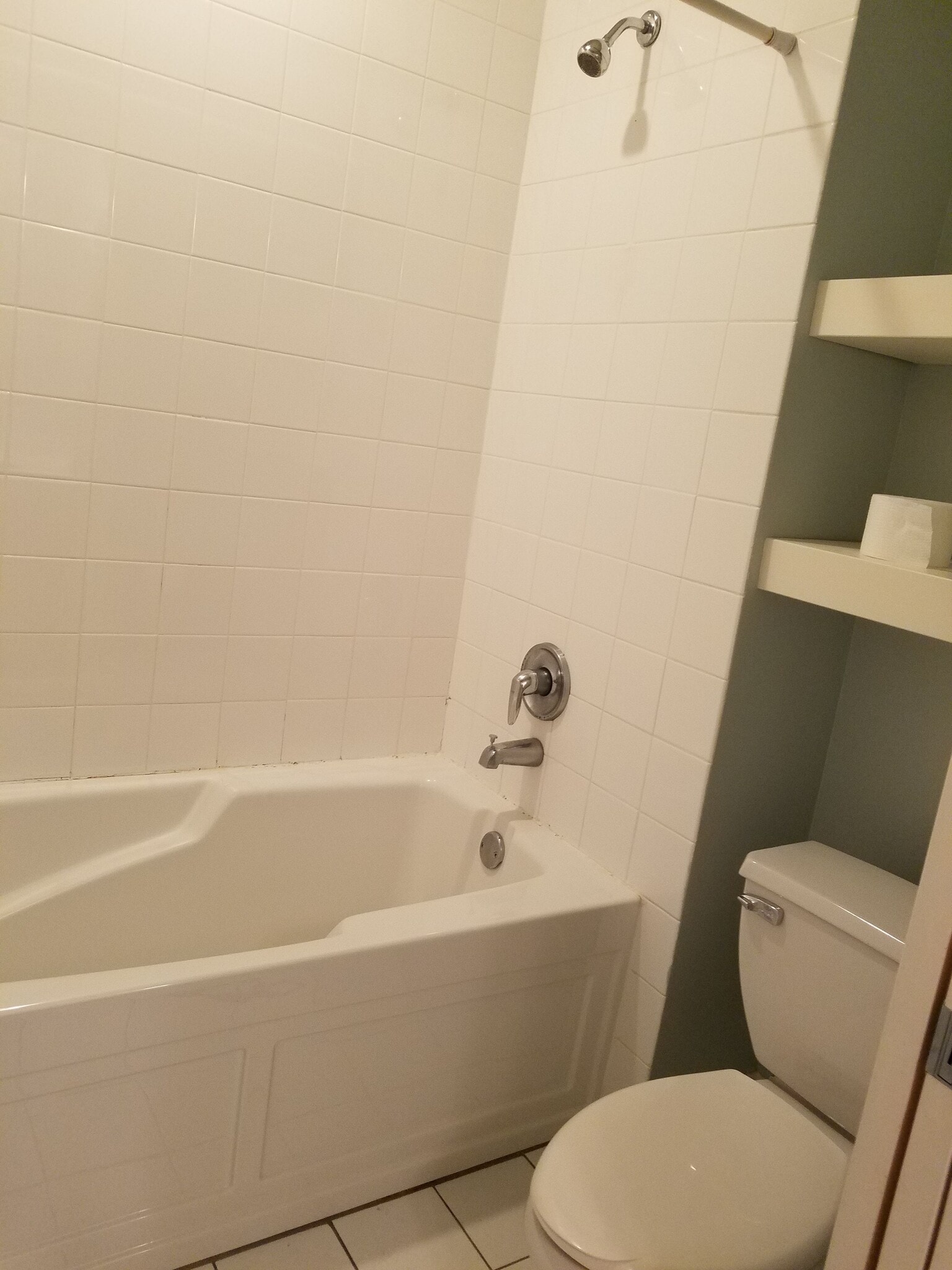 separate tub/shower/toilet area - 3450 N Bosworth Ave