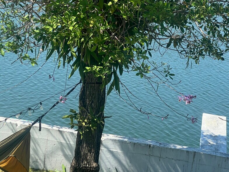 Building Photo - 425 NE 103rd St