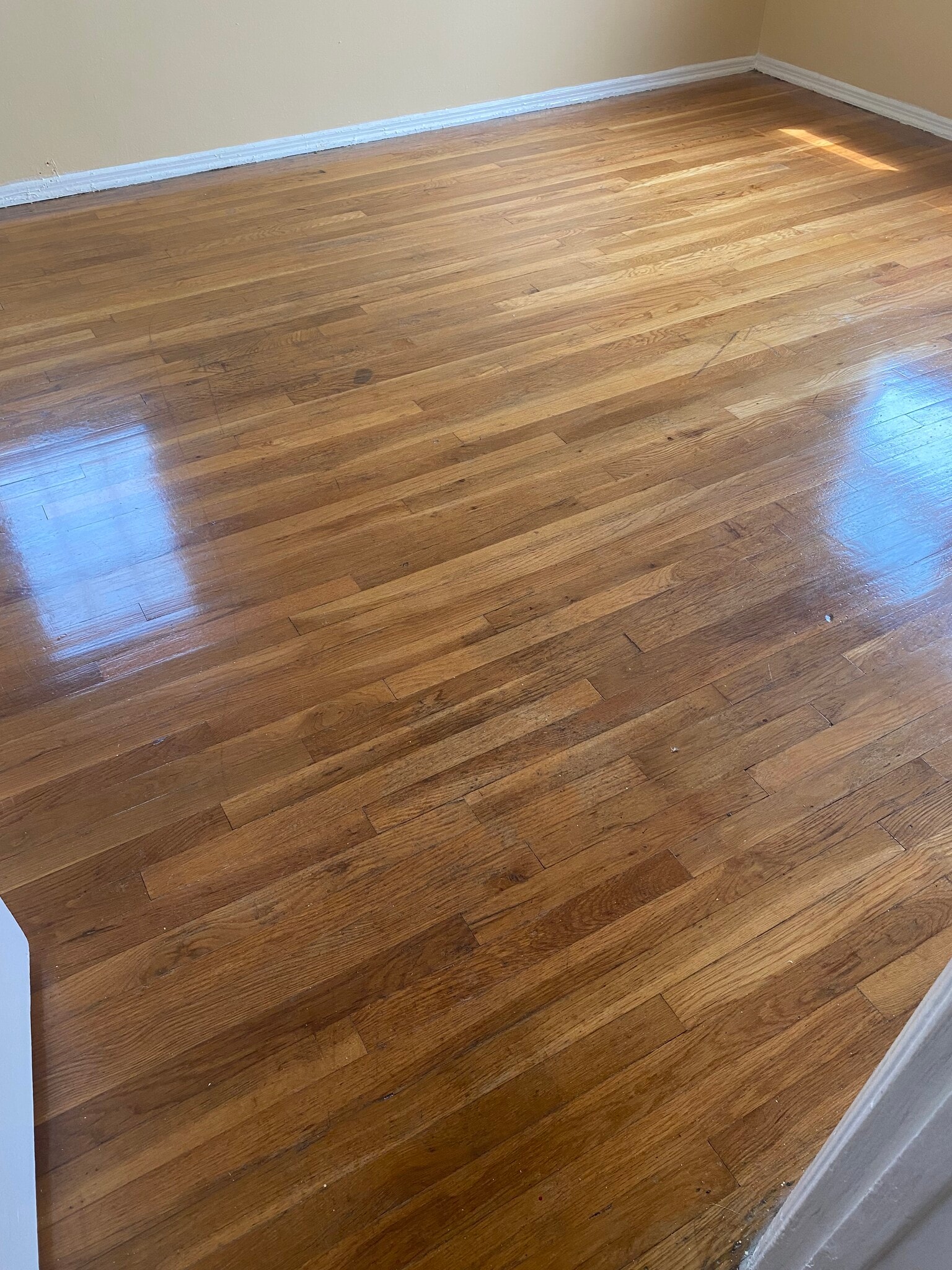 Building Photo - 10329 S Wilton Pl