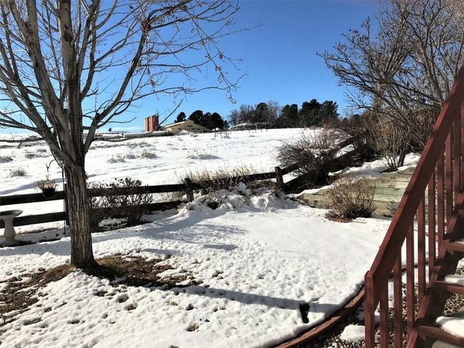 Building Photo - Lovely Basement Apartment in Highlands Ranch