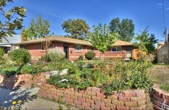 Building Photo - 2 bedroom / 1 bath Mid-Century brick duple...