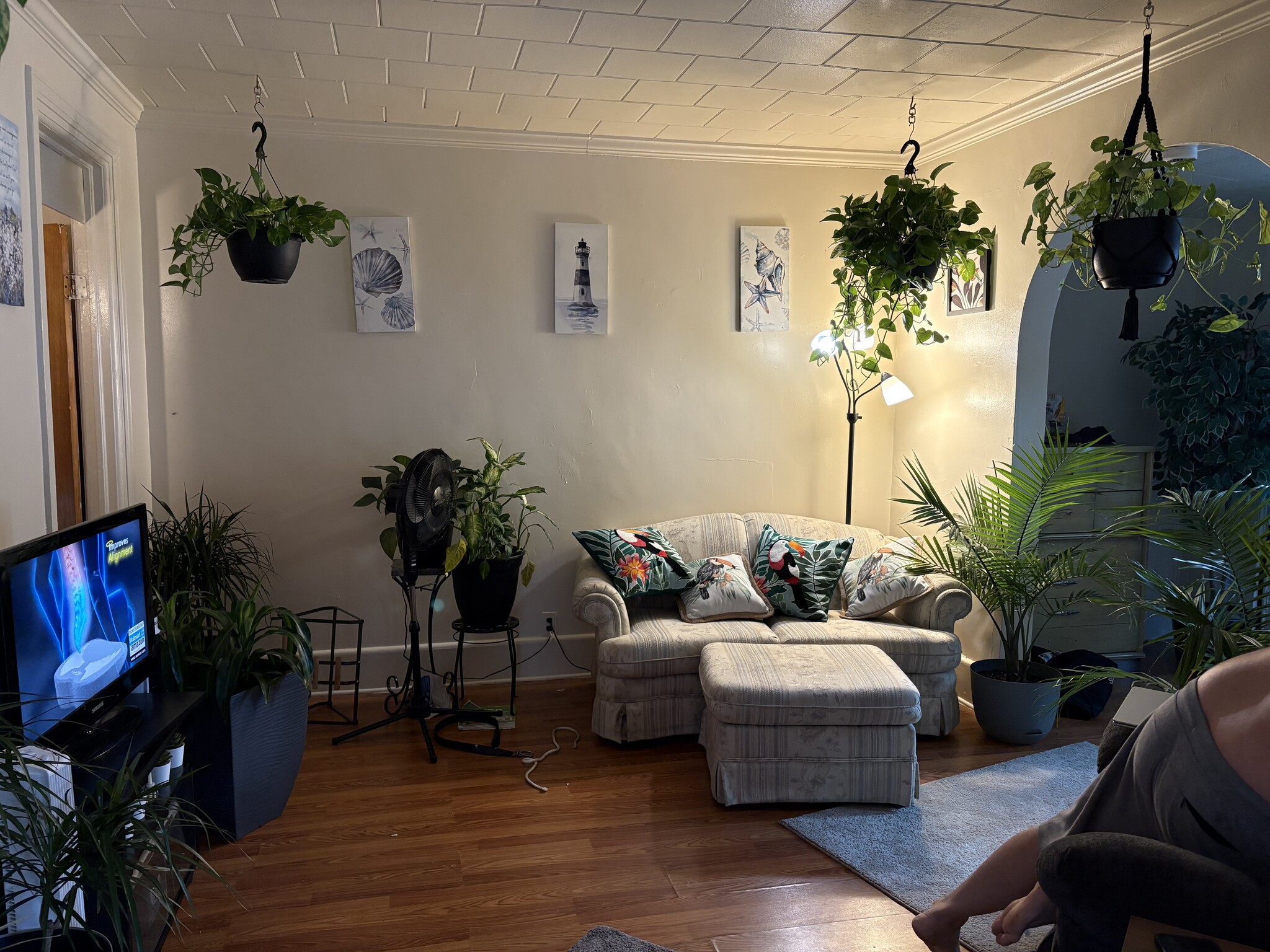 Building Photo - 81 Cameron St