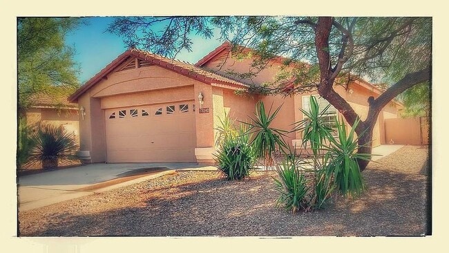 Primary Photo - 13242 N Lost Artifact Ln