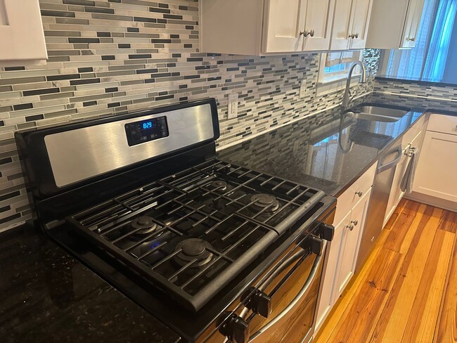 Building Photo - Available April 6th. Custom Built 3BR/2 BA Home in Park Circle!