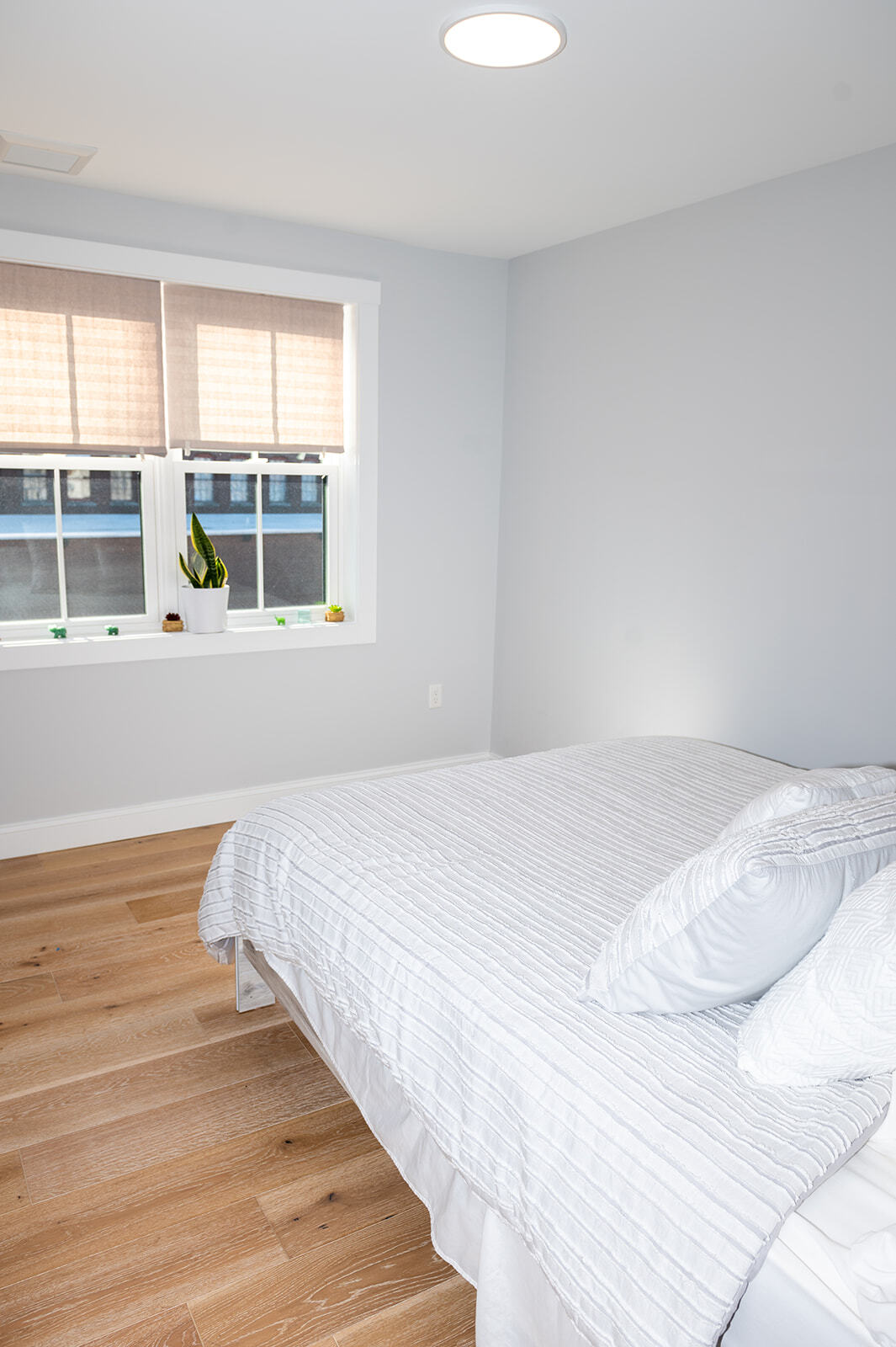 Building Photo - 30 Cate St