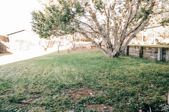 Building Photo - SMALL DOG FRIENDLY!!!  Meadow Street House