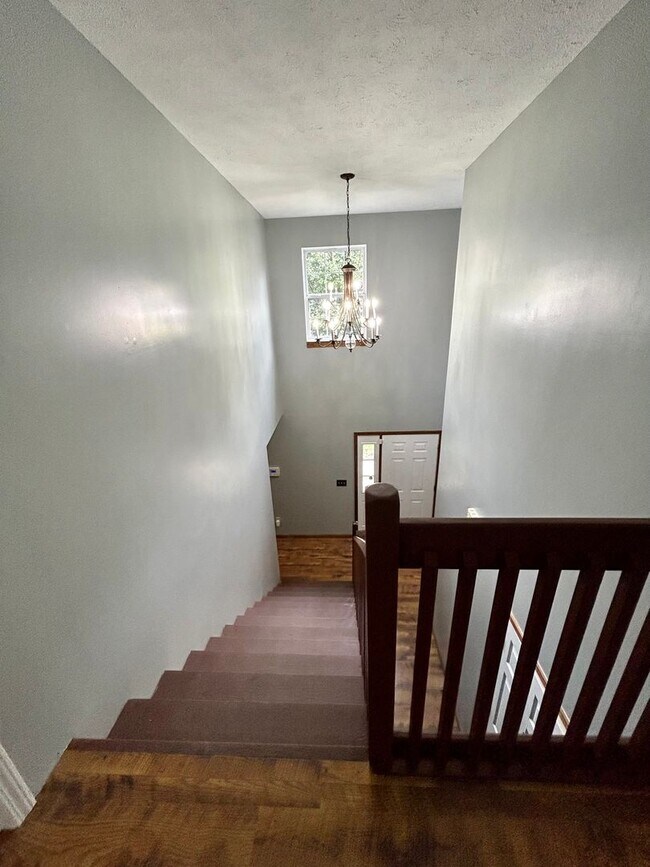 Building Photo - Beautiful 3 level home on a quiet cul-de-sac in Greenbrier Knolls--AVAILABLE NOW!!!!