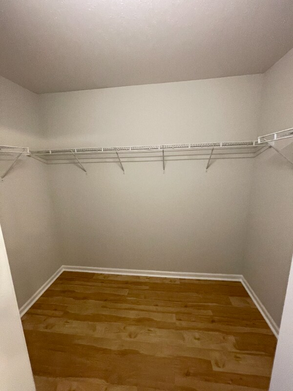 Building Photo - 2469 Redmayne Ln