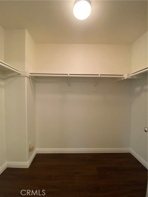 Building Photo - 2251 Joshua Tree Way