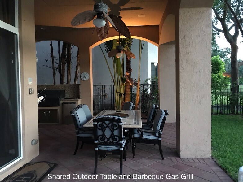 Shared Outside Table and Gas Barbecue Grill - 17701 Circle Pond Ct