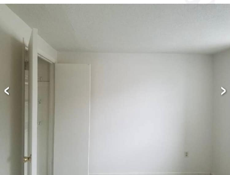 Second Bedroom #2 - 1910 Dutch Village Dr