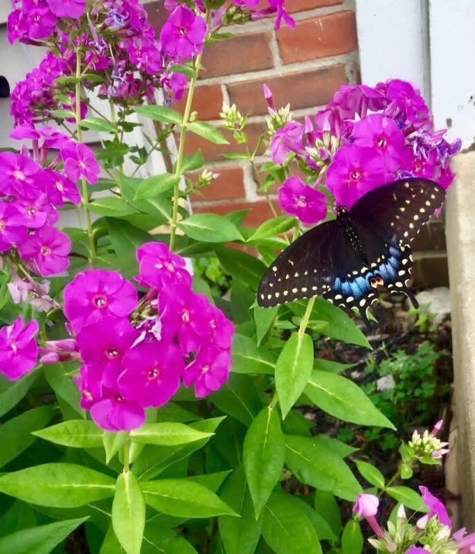 Building Photo - 1988 Elbert Dr