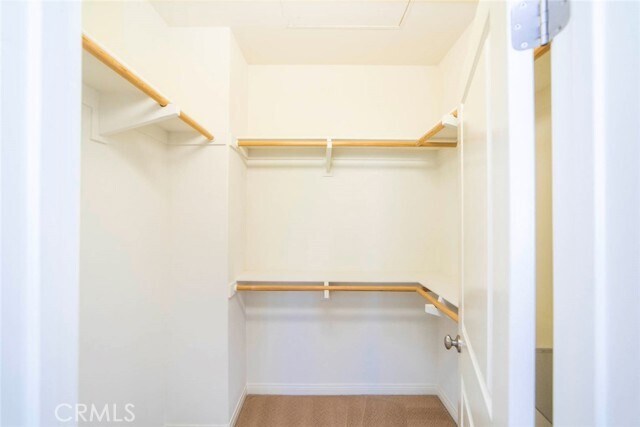 Building Photo - 33 Bromeliad